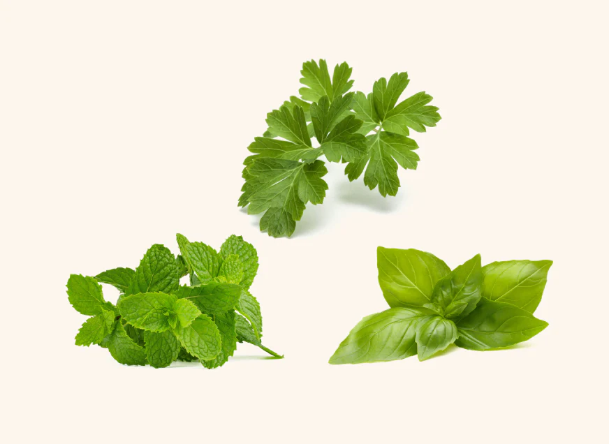 Asian Cuisine Seed Mix