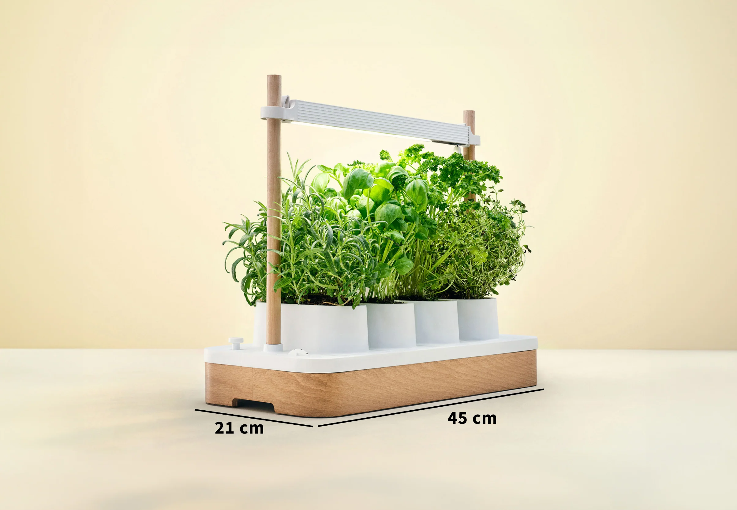 Auk Mini Bundle - Image 9