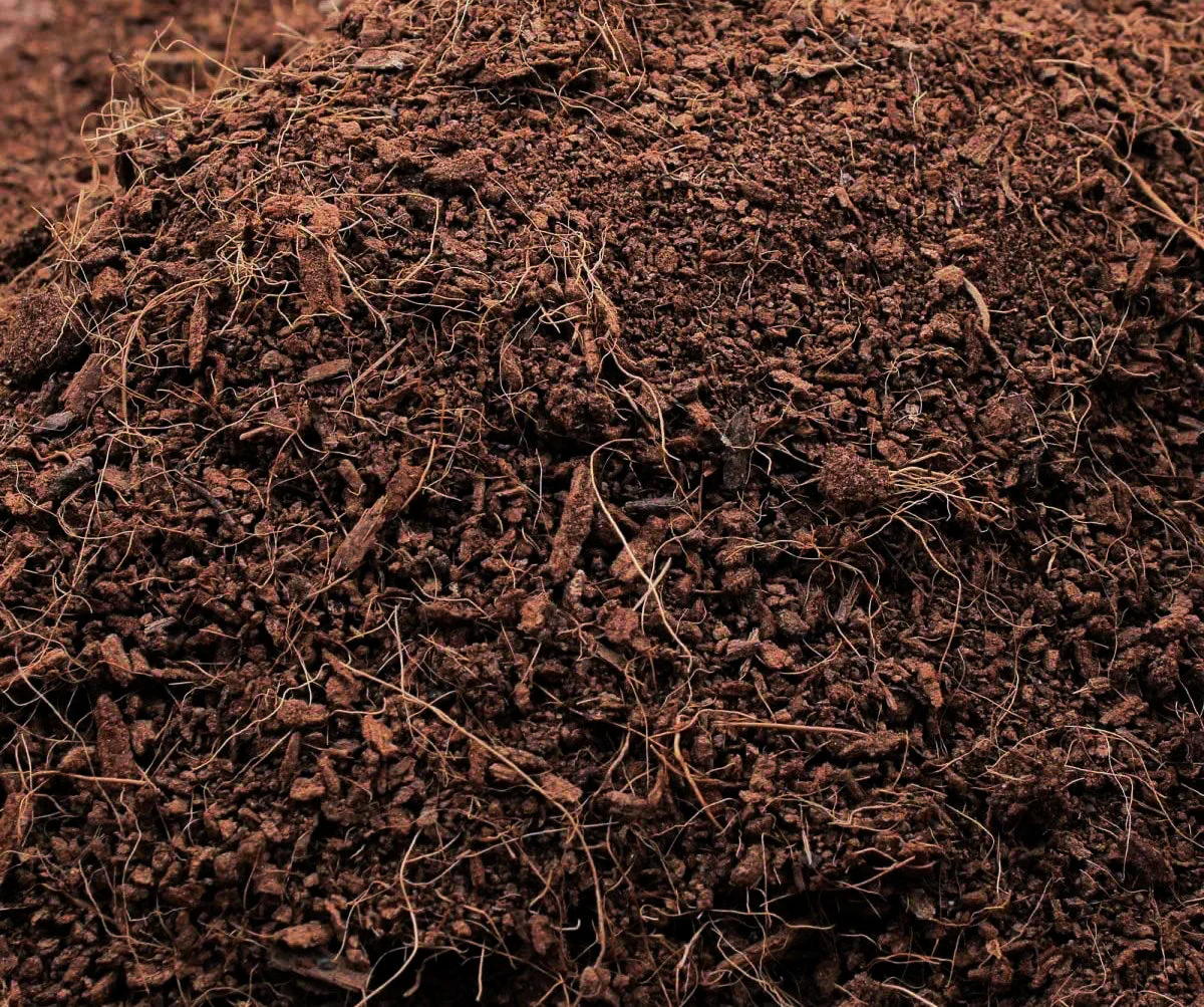 Coco fiber - Auk 1 - Image 6
