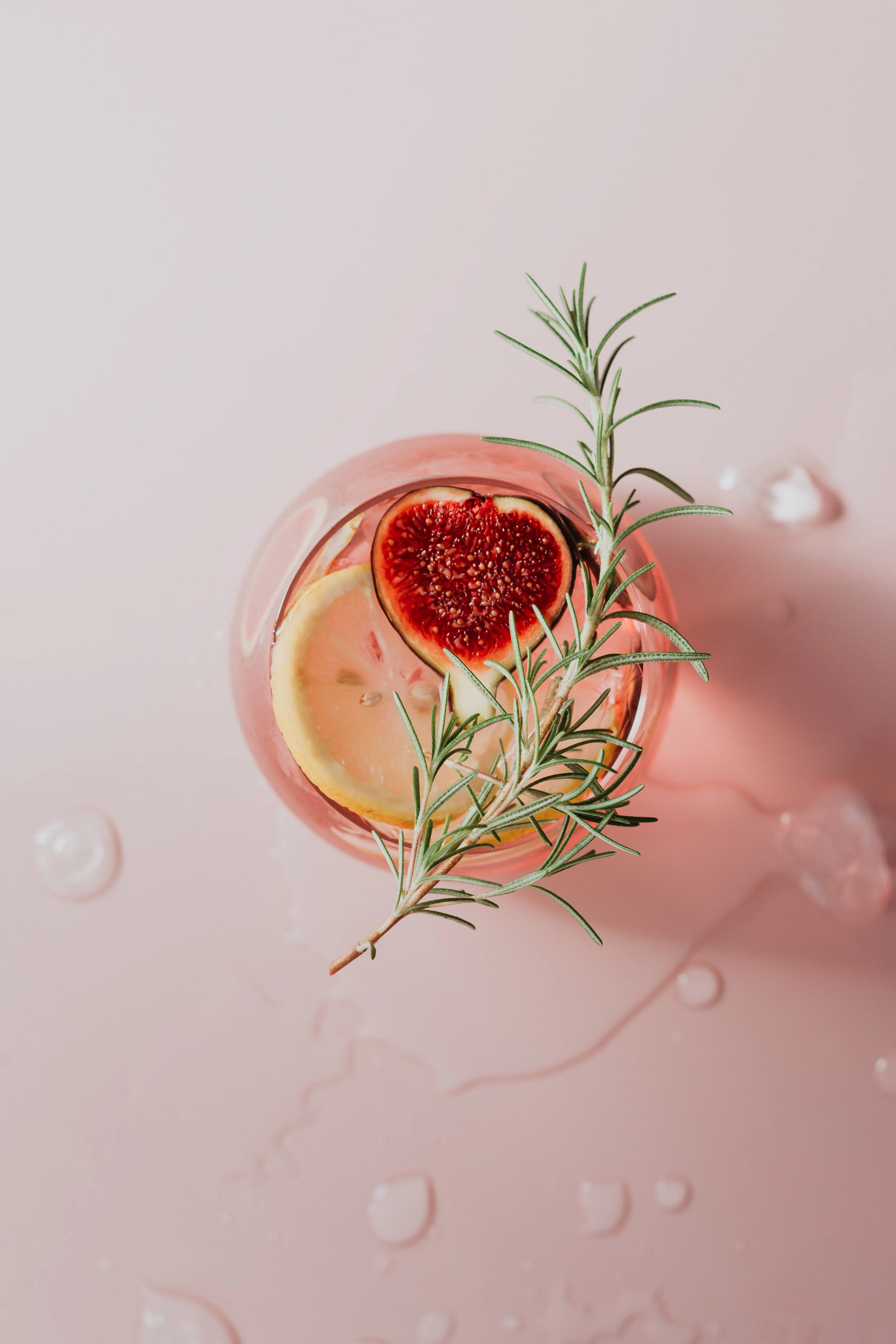 Rosemary - Image 2