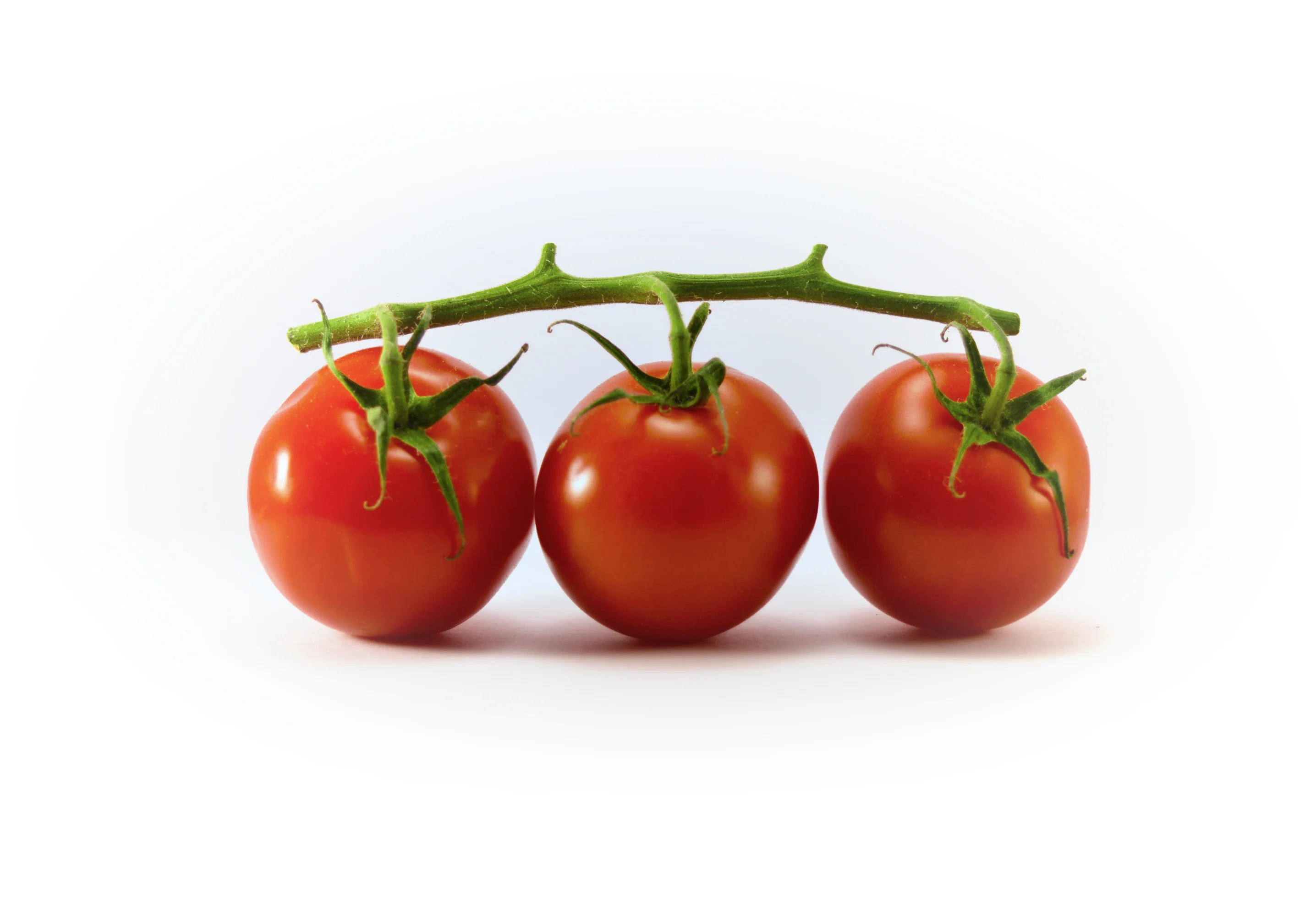 Tomato Cocktail