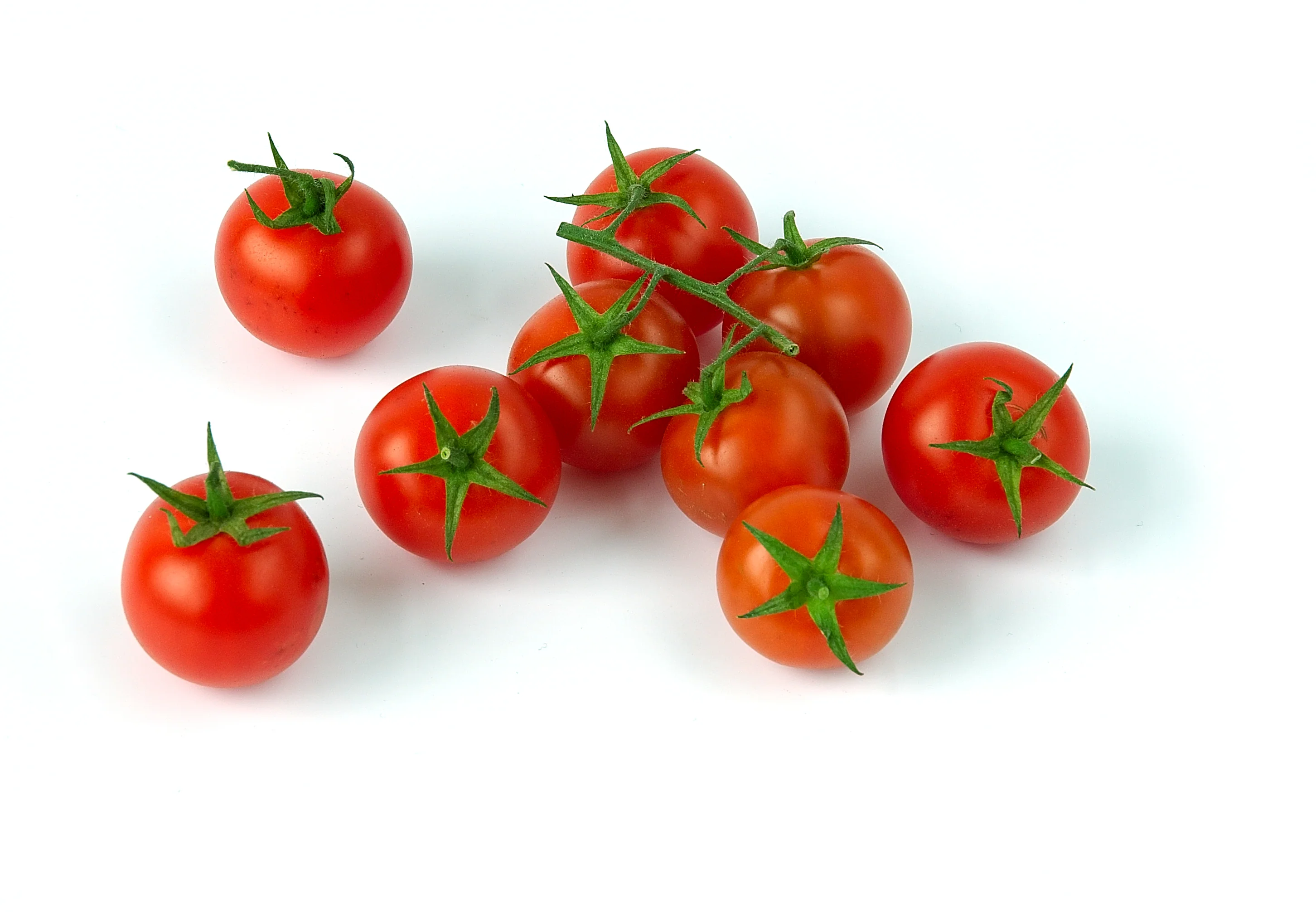 Tomato Veranda